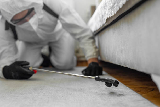 Professional Pest Control technician working in Wyoming, MN