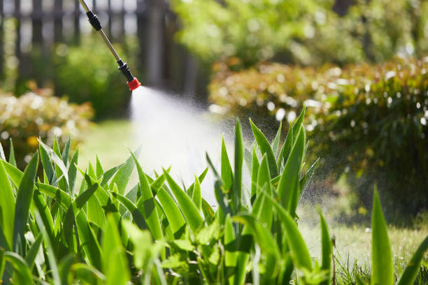 24/7 Emergency Fumigation Services experts in Wyoming, MN