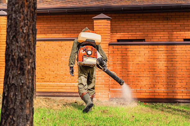 Trusted Ant Control service in Wyoming, MN - Nex Pest Control